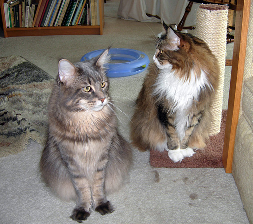 Schuyler (left) and Abigail, 2011.