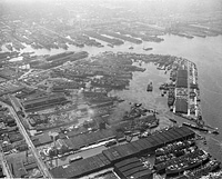Todd Erie Basin D.D. Inc., Brooklyn, N.Y.