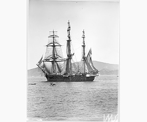 Pallas