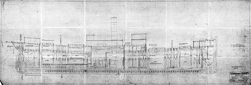 Australian S.S. Bellata