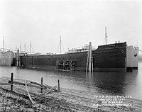 S.S. Alchiba (AK 261) circa 1959