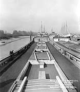 S.S. Algorab (AK 262) circa 1959