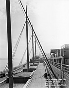 S.S. Centaurus (AK 264) circa 1959