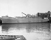 S.S. Astoria (Design 1003)