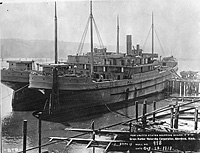 S.S. Bromela (Design 1005)