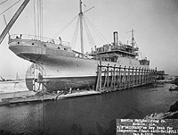 S.S. Balosaro (Design 1010)