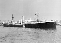 S.S. Polybius (Design 1079)