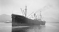 S.S. Wheatland Montana (Design 1079)