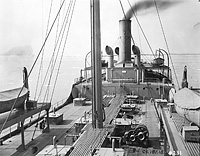 S.S. Chestnut Hill, later Desdemona