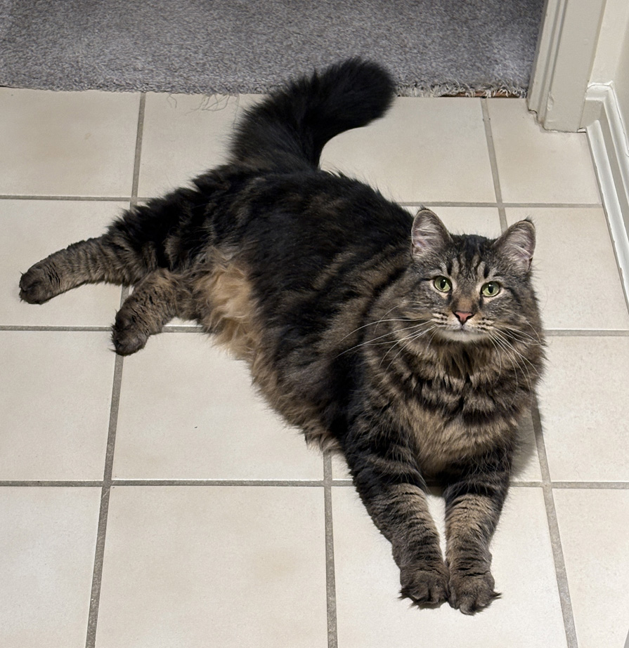 Tabitha.