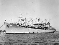 USS Hamul