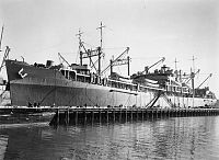 USS Hamul