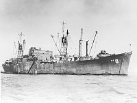 USS Algorab