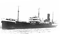 S.S. Wieldrecht, later USS Wieldrecht (ID # 2519)