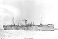 Photo # NH 43286:  USS Santa Paula arrives at New York, 1919
