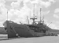 USNS Sgt Curtis F Shoup (T-AG 175)